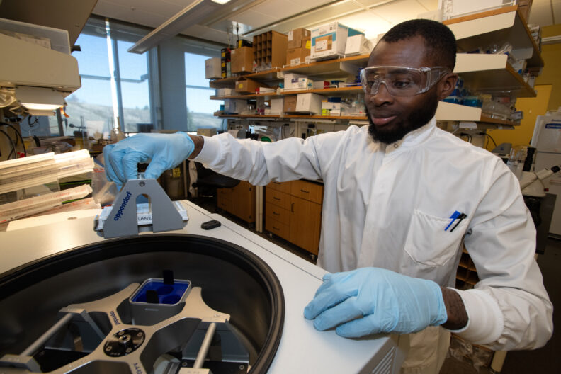 Charles Ugwu works in his lab at the Paul G. Allen School for Global Health.