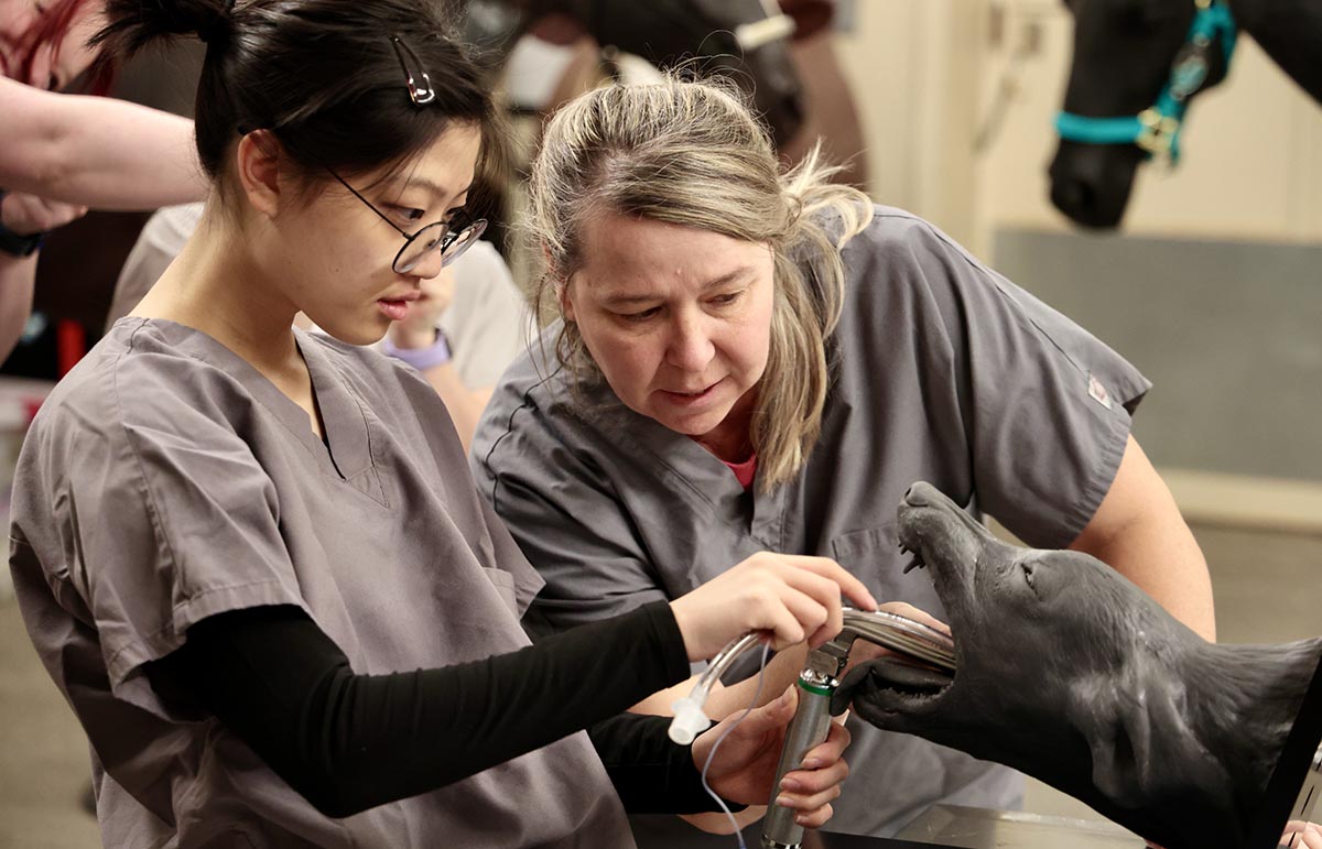 Student in clinical simulation