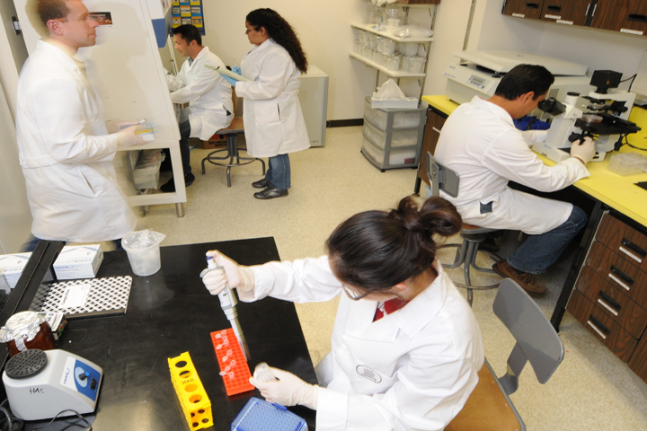 Students and scientists in Dr. Hector Aguilar-Carreno’s lab study the Nipah virus, a newly emerging global disease.
