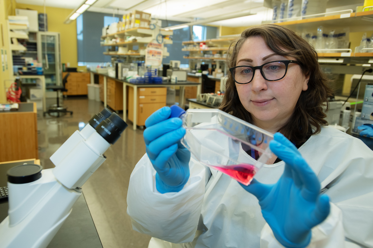 Stephanie Seifert working in her lab.