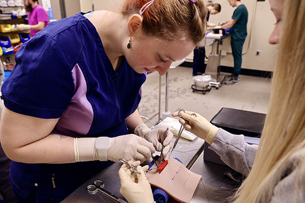 Students practice their surgical skills using models & task-trainers in SBE’s Clinical Simulation Center