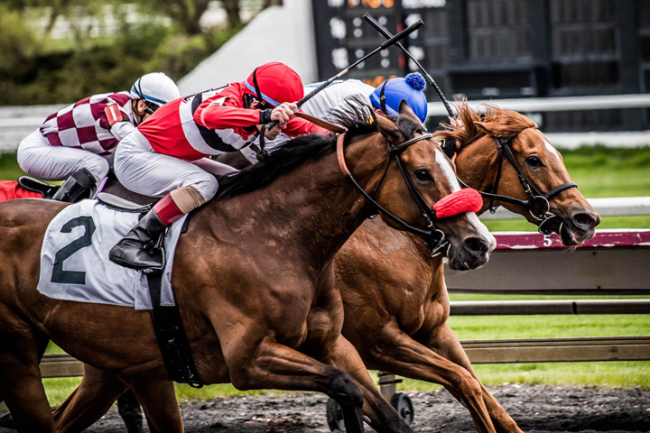 Two thoroughbreds neck and neck in a race.