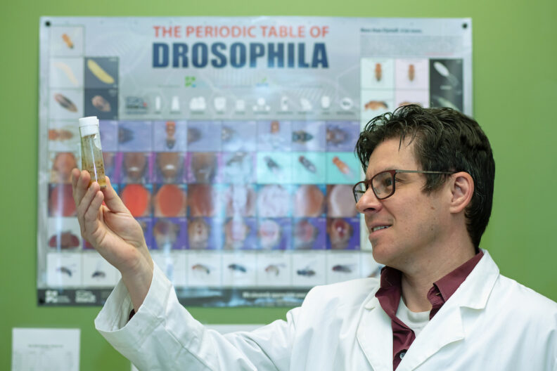Alan Goodman, an associate professor in the chool of Molecular Biosciences in Washington State University's College of Veterinary Medicine, poses with vials of flies that he uses in his research in Pullman.