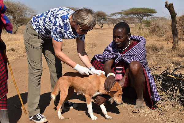 Dog getting vaccine