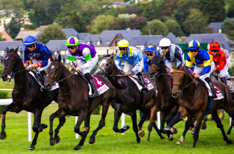 Horses in the midst of a race. Photo by Philippe Oursel on Unsplash).