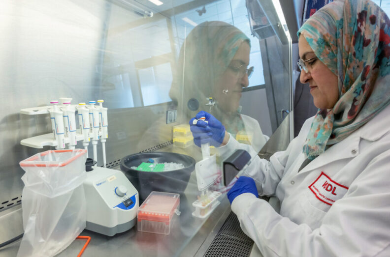 Scientific assistant Azeza Falghoush works in a lab area used to prepare samples for DNA sequencing at the Washington Animal Disease Diagnostic Laboratory.