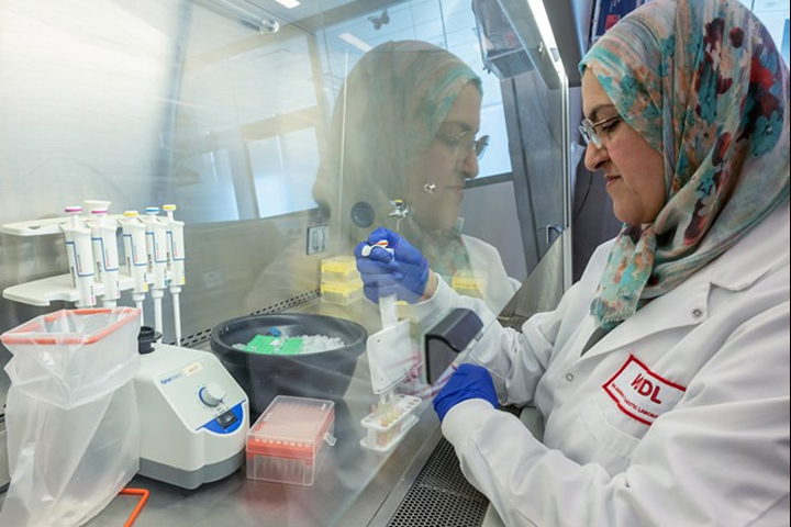Scientific assistant Azeza Falghoush prepares samples for DNA sequencing at the Washington Animal Disease Diagnostic Laboratory.