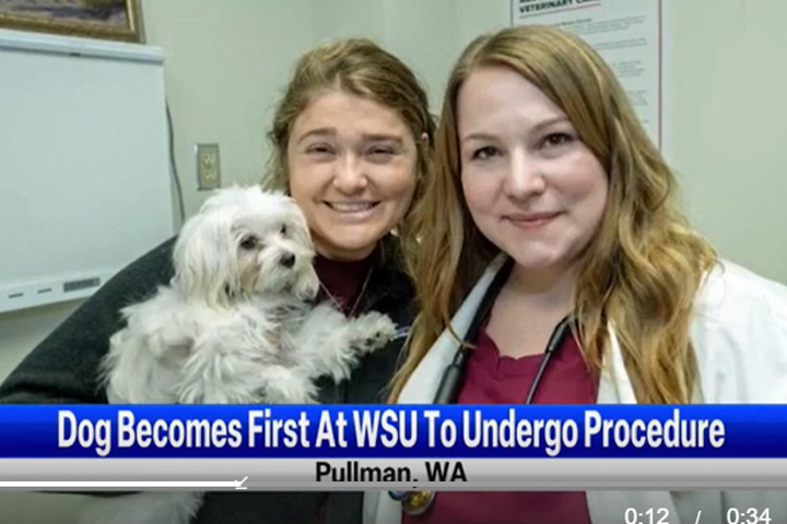 Screen grab from video news report. Carter snuggled up to a fourth year veterinary student.