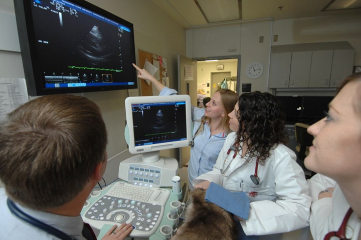 Students looking at the monitor.