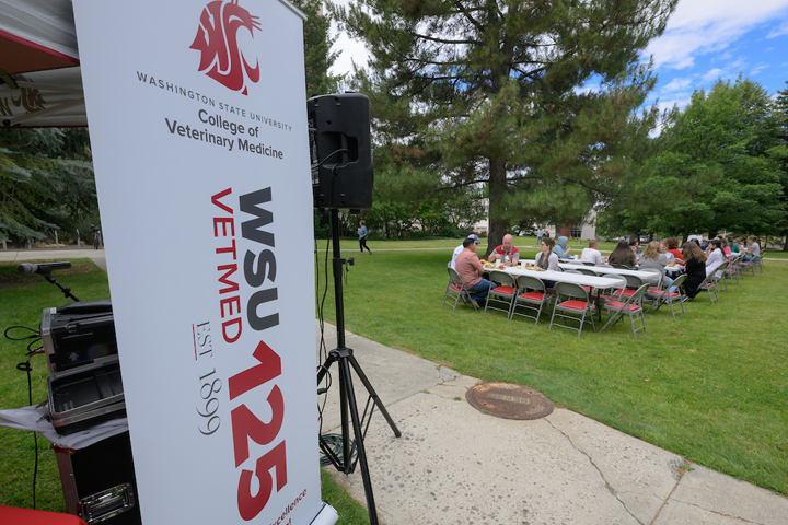Vertical 125 celebration banner in the foreground with a row of tables in the background.