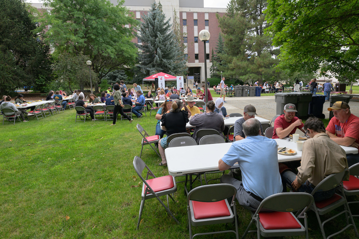 Photo from a distance showing all the tables at the picnic.