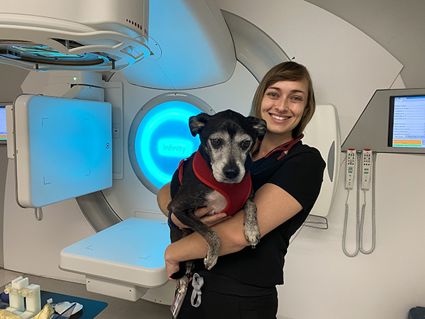 Brittni holding a senior black lab mix dog.