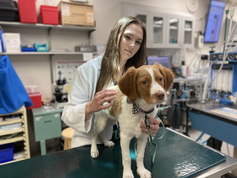 Lillian Zachery holds a dog.