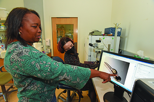 Faculty member pointing to computer screen as student watches on.