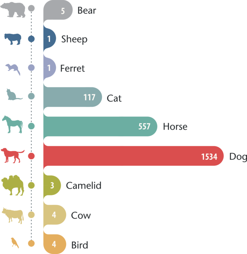 Number and types of patients receiving an MRI: bear - 5, sheep - 1, ferret - 1, cat - 117, horse - 557, dog - 1534, camelid - 3, cow - 4, bird -4