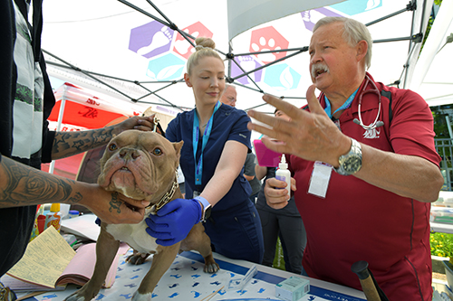 Dog at one health clinic