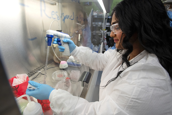 Student in Kohler lab