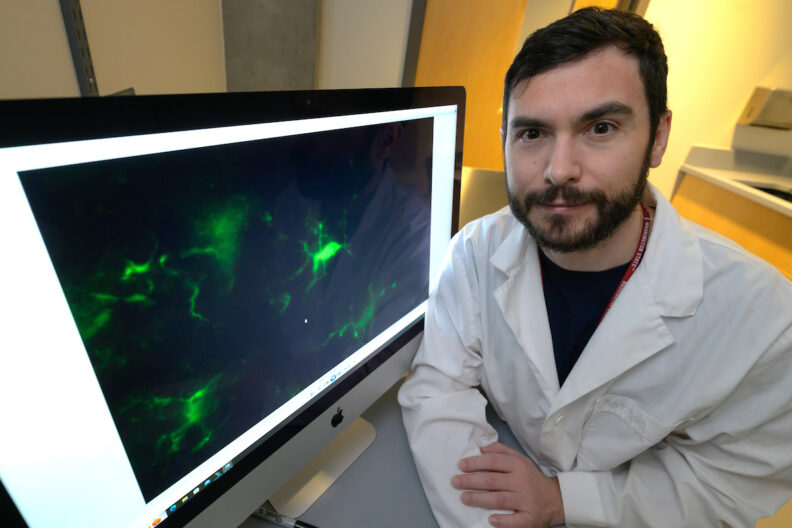 Dr. Giuseppe Giannotti poses for a photo with a fluorescence microscope image of a brain section used in his research.