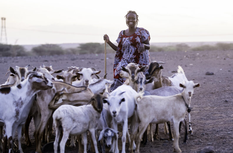 Muthiru in a field with a herd of goats.