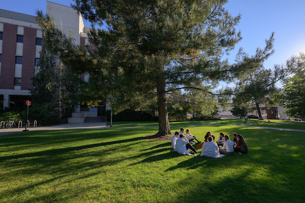 Students under tree
