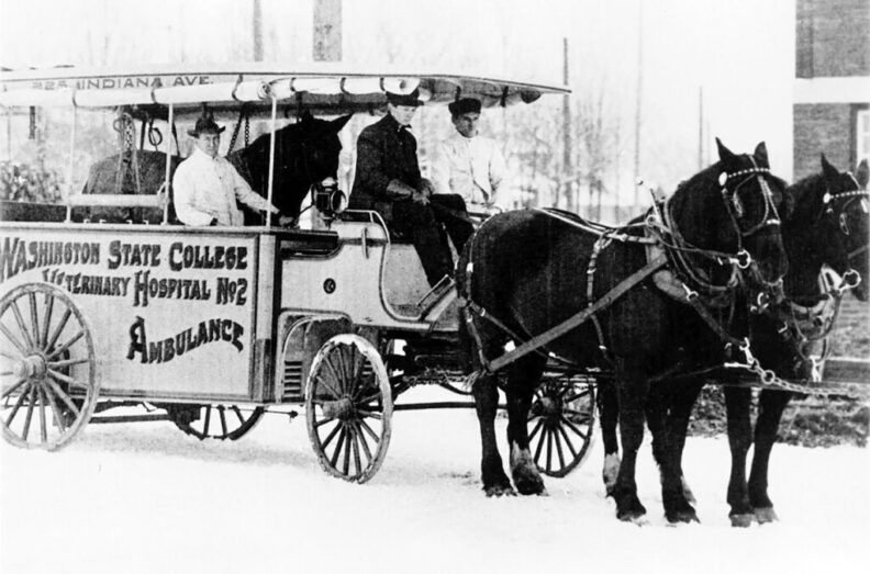 A horse-drawn veterinary ambulance from Washington State College's Veterinary Hospital is shown in this undated historic archive photo.