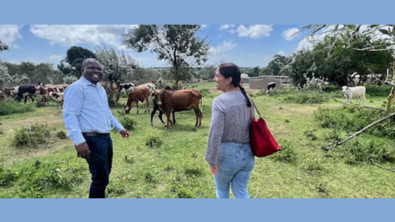 Meera with a gentleman in field with cattle. Photo credit: USAID.