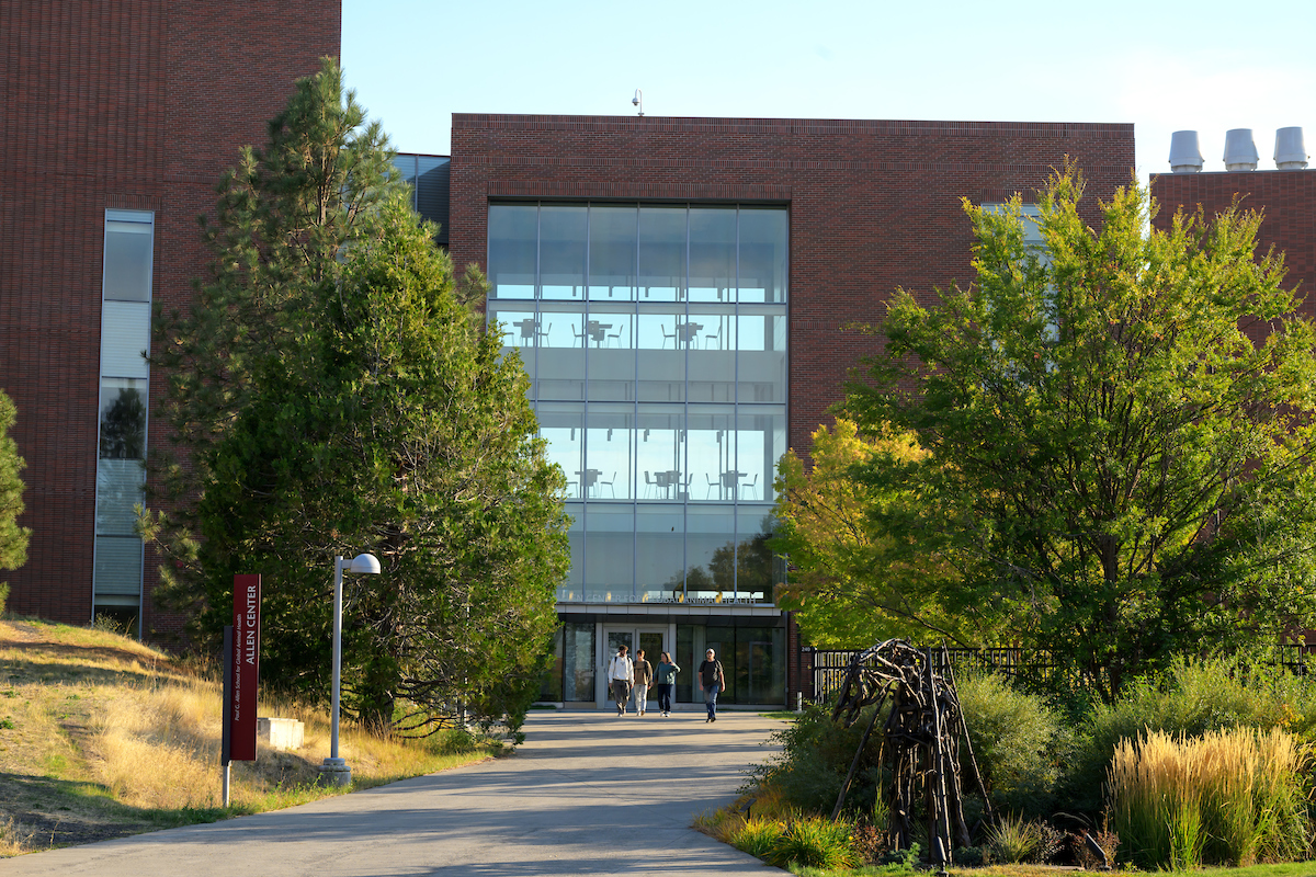 View of the Allen School from the north.