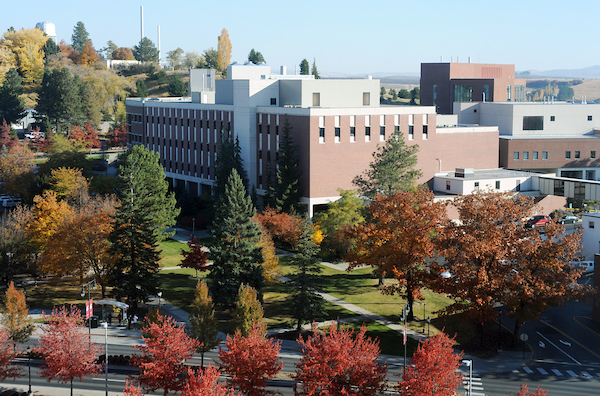 Aerial shot of Bustad Hall in all colors.