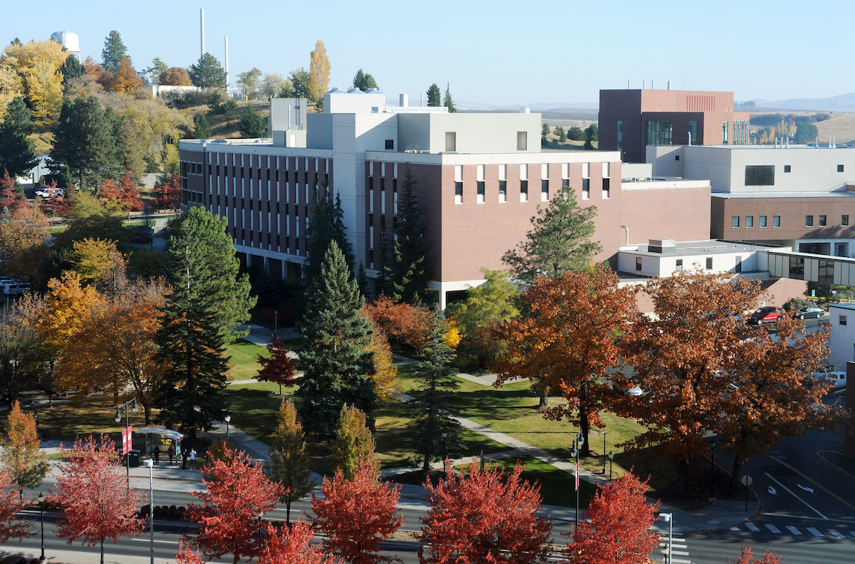 Aerial shot of Bustad Hall. The trees are displaying their fall colors.
