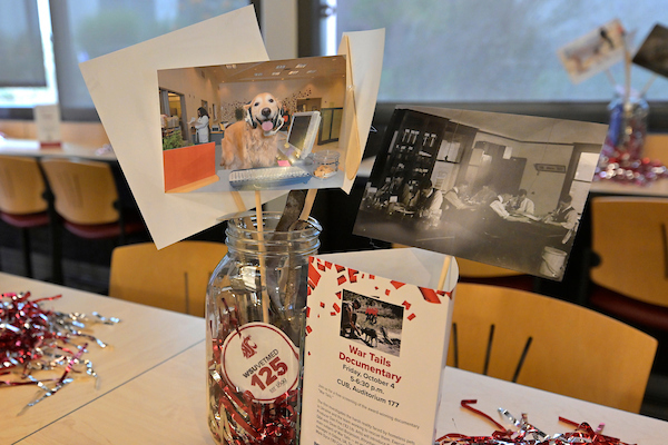 Mason jar with photos on sticks, confetti, and a tri-fold table tent - these are the party table centerpieces.