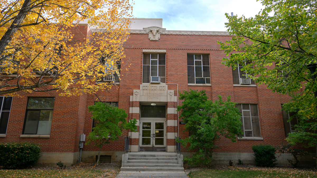 The main, ornate entrance of McCoy Hall in the fall.