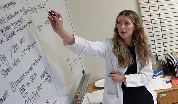 Teaching and learning workshop