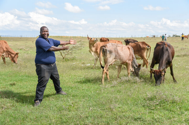 Hillary in a field with cattle. He has his arms extended to direct the viewer's attention to the cattle.