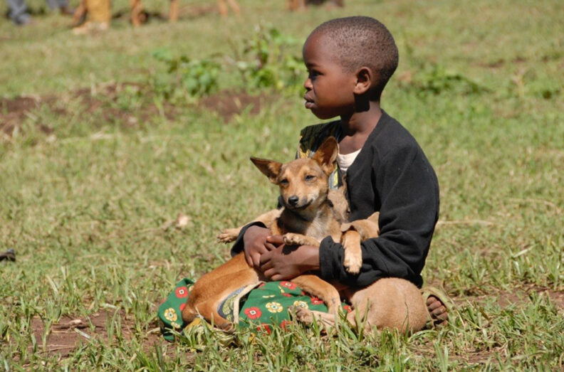 East African boy sitting in the grass with a puppy in his lap.