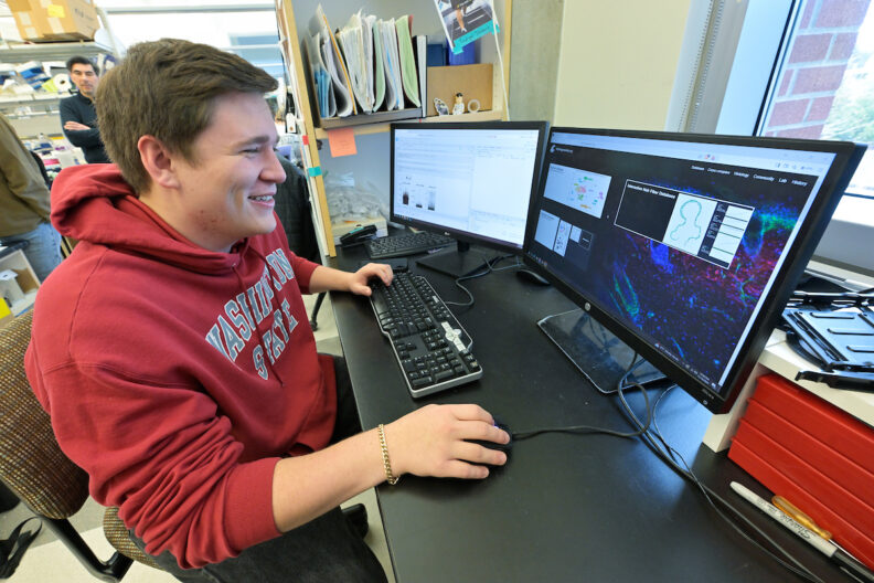 Gitano Hobson works at a computer.