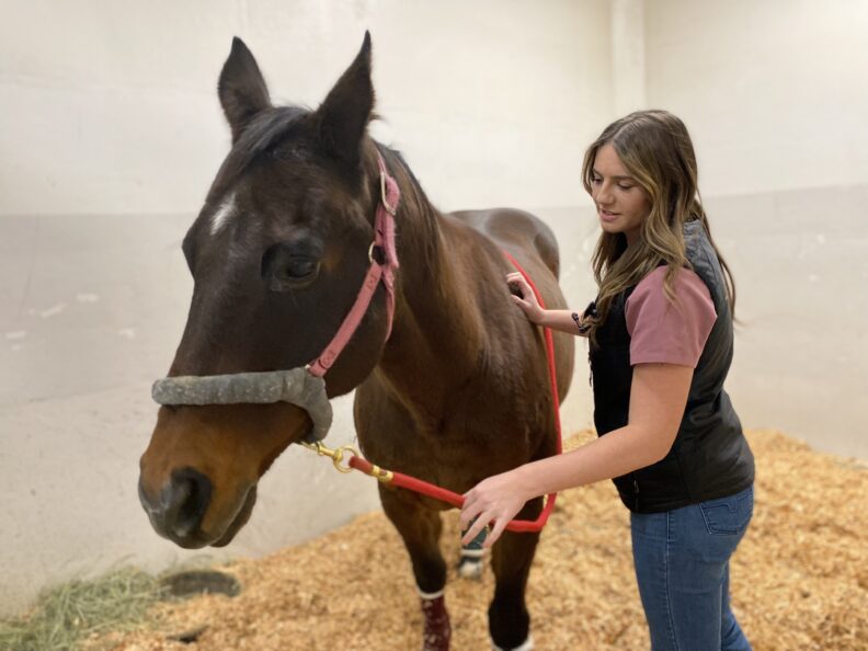Jessica Bebo comforts a horse.