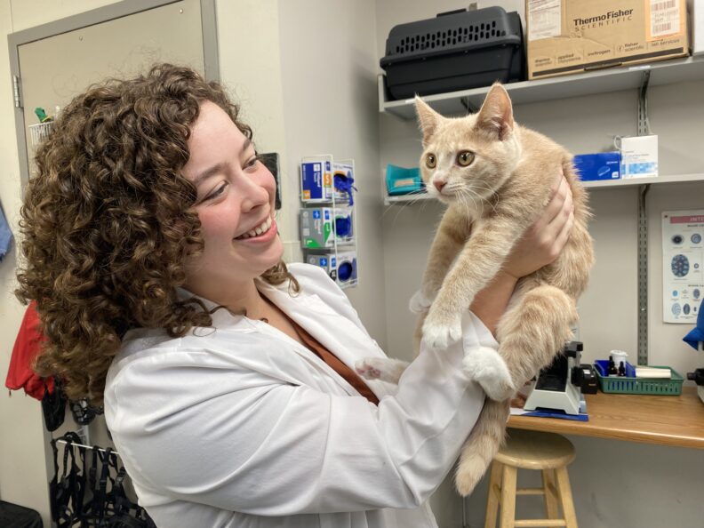 Toni Bates holds a kitten.