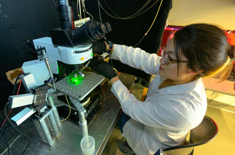 Sue adjusts a microscope she uses for her research.