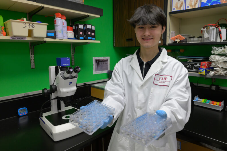Kyu Jin “KJ” Youm, a sophomore biology major and undergraduate EschLEAD research scholar in Arden Baylink’s lab in Washington State University's College of Veterinary Medicine, poses for a photo.