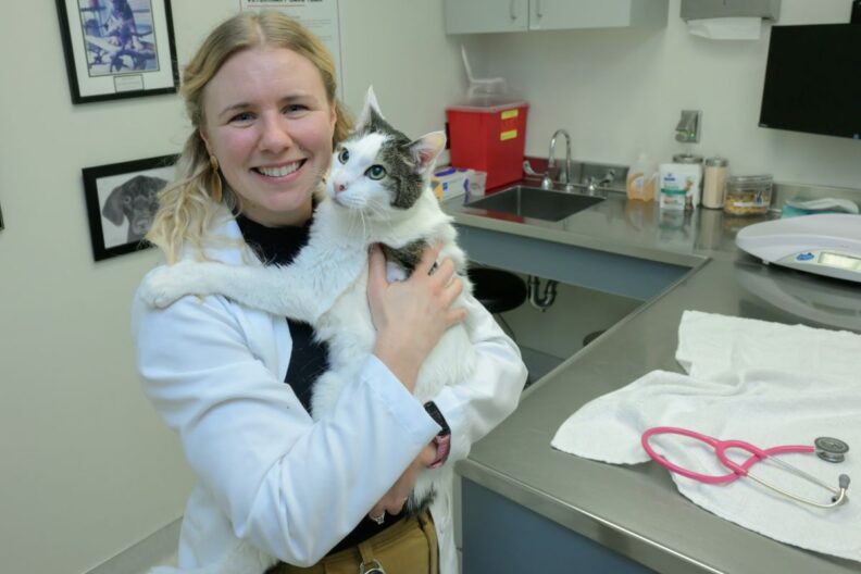 Marianne Youngstrom with a cat at the WSU Veterinary Teaching Hospital.
