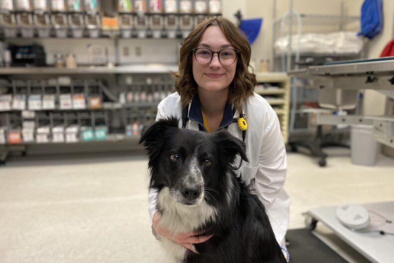 Natalie Drozdowski with a dog at the Veterinary Teaching Hospital.