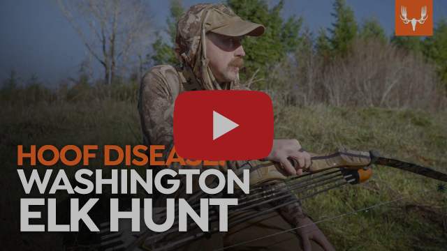 Screen grab from YouTube. Hunter with bow and arrow.