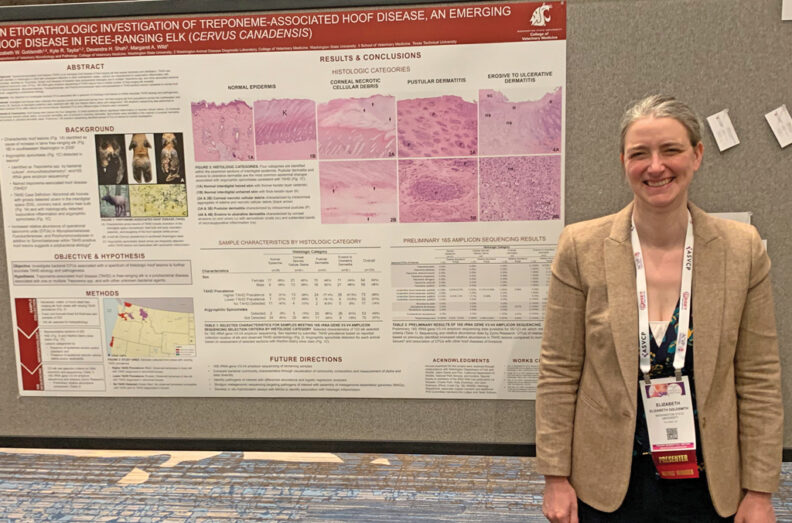 Elizabeth standing in front of her research poster.