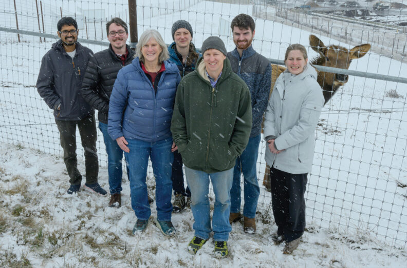 L-R Sushanta Deb, Steve Winter, Margaret Wild, Liz Goldsmith, Charlie Park, Trent Hill, and Holly Drankhan. The y are outside on a snowy day and one elk is right behind them in a fenced area.