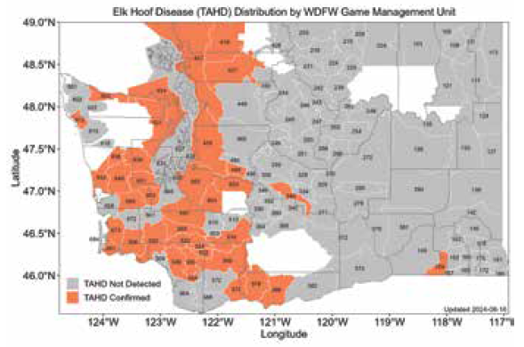 Mapy of TAHD distribution by WDFW Game Managment Unit, between 46-49° N Latitude and 125-117° W Longitude.