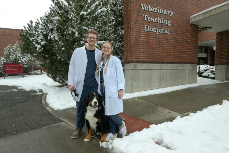 Fourth-year DVM students Sydney Worley Myers and Andrew Myers pose in front of the Veterinary Teaching Hospital.