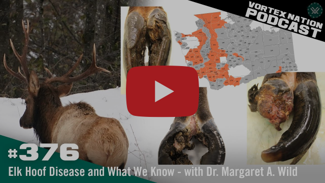 Screen grab from the Vortex Nation Podcast, Episode #376.