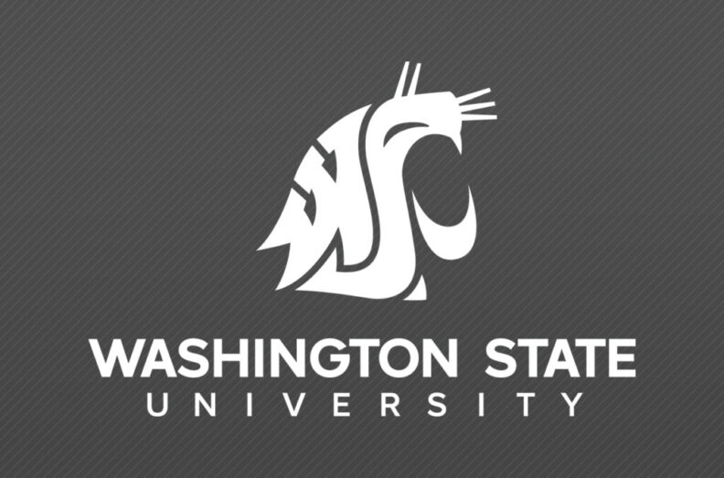 WSU logo on a dark grey background.