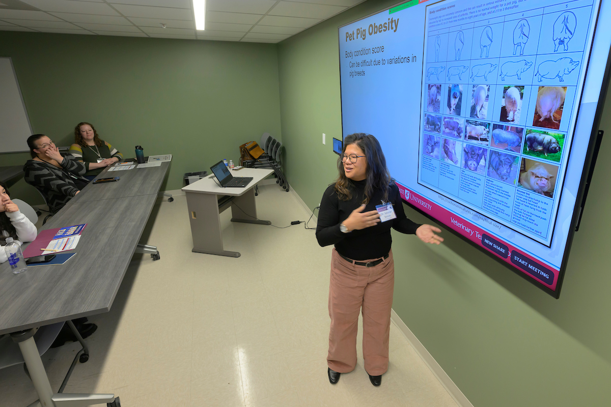 Jennifer Sexton presenting. She is standing in front of a projected screen.