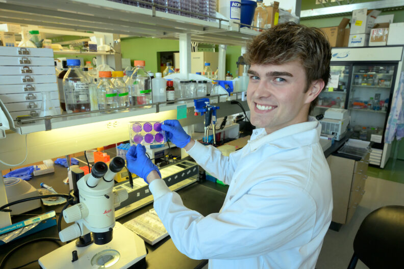 Brayden Olsen, a microbiology senior and EschLEAD scholar, works in a lab overseen by Heather Kohler.